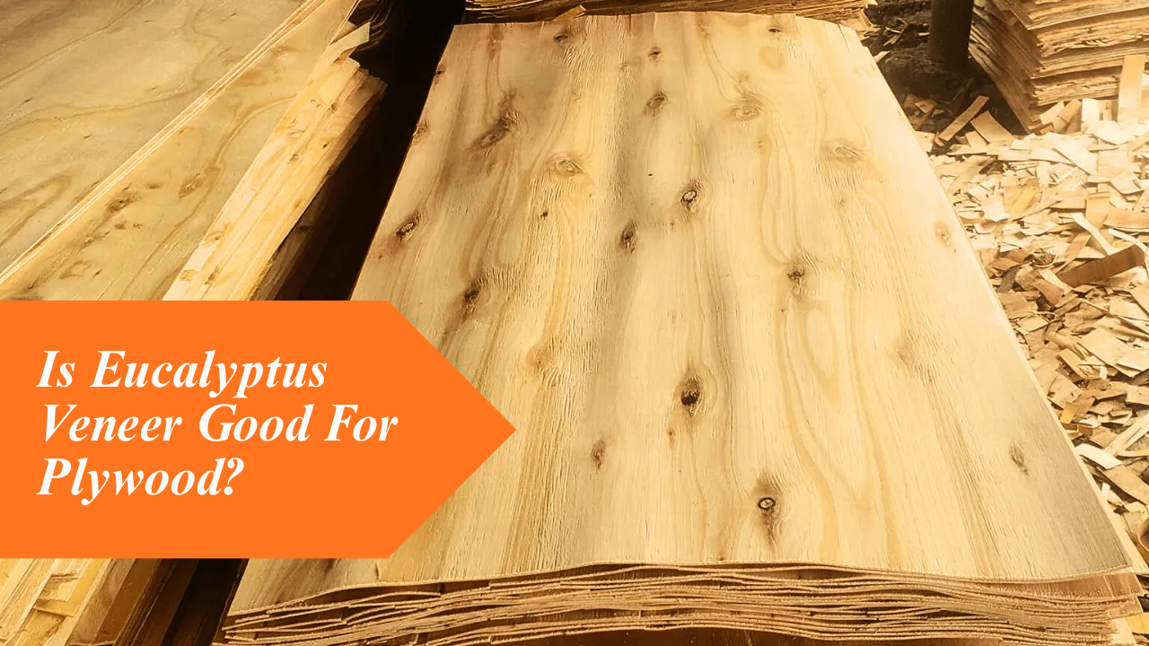Is Eucalyptus Veneer Good For Plywood